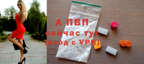 ECSTASY Белокуриха