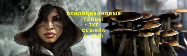 ECSTASY Белокуриха