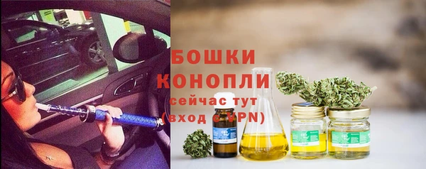 ECSTASY Белокуриха