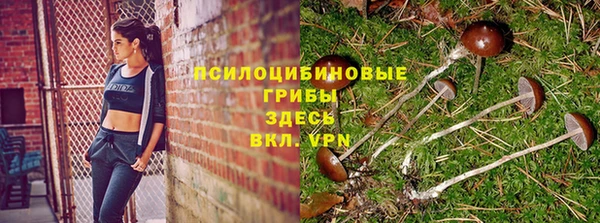 каннабис Беломорск